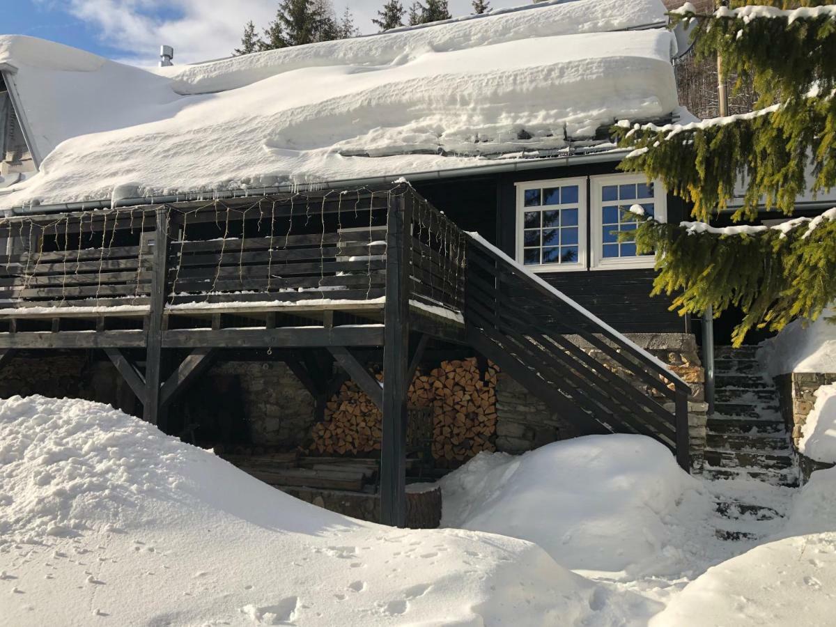 Pri Vleku. Chalet