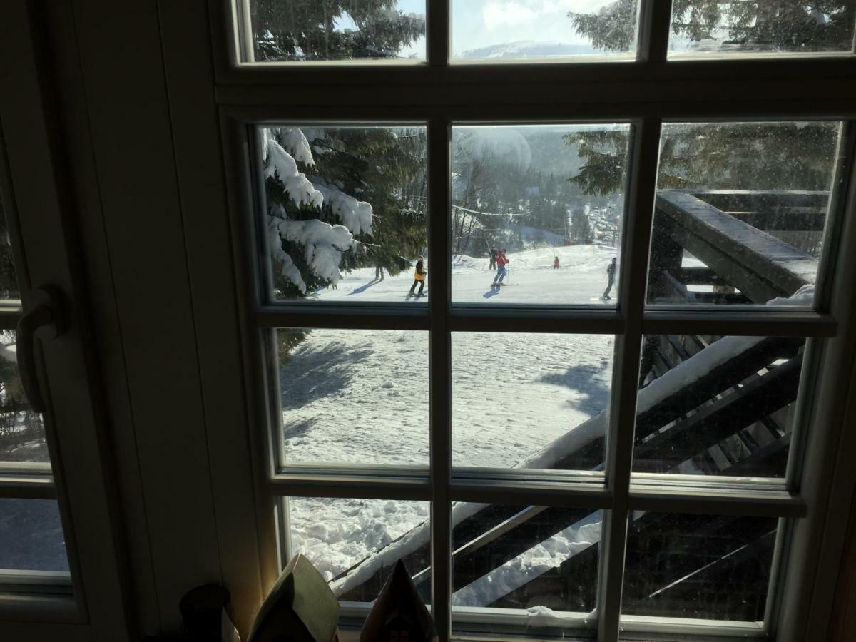Pri Vleku. Chalet *