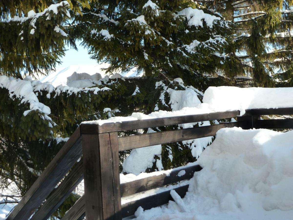 Pri Vleku. Chalet Donovaly