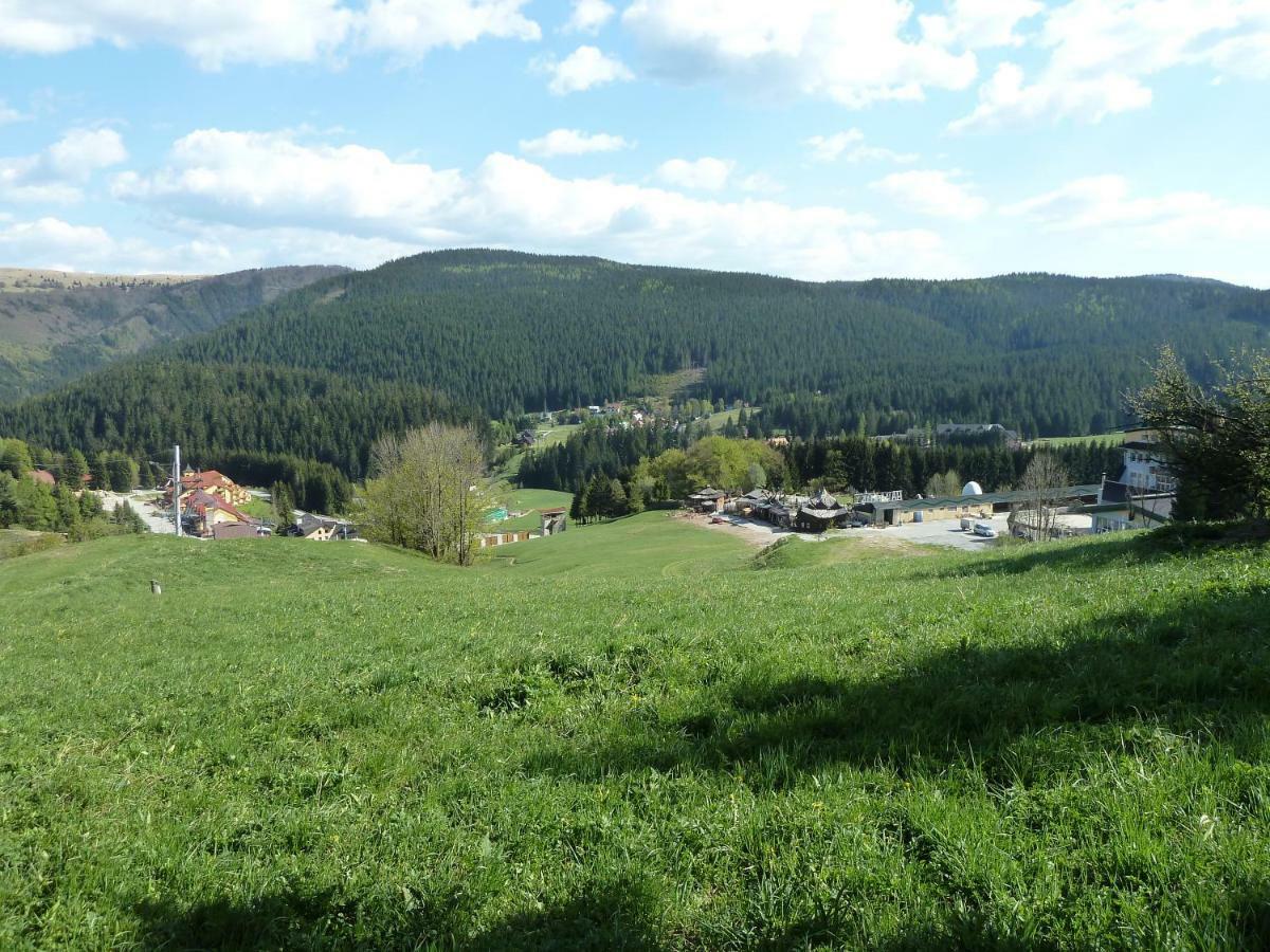 Pri Vleku.